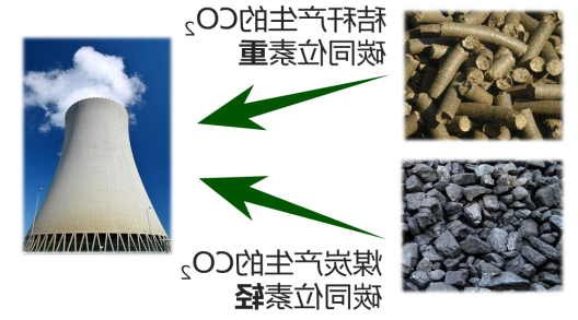 美高梅娱乐场研究成果—煤+生物质耦合燃烧比例反向检测